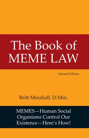 Cover of the book The Book of Meme Law by Vivian S McClure