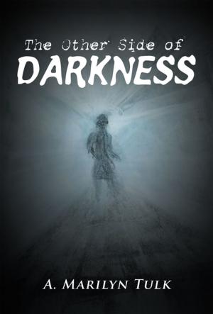 Book cover of The Other Side of Darkness