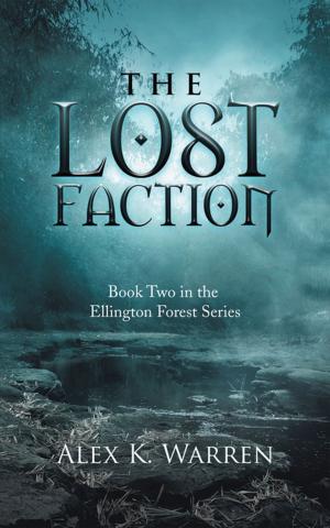 Cover of the book The Lost Faction by D.B. Barton