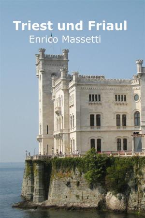 Cover of the book Triest Und Friaul by Enrico Massetti