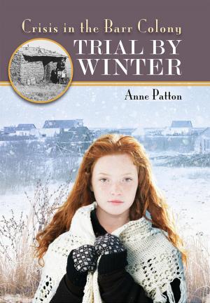 Cover of the book Trial by Winter by Vincent Zandri