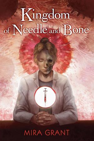 Cover of the book Kingdom of Needle and Bone by Jack Vance