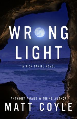 Book cover of Wrong Light