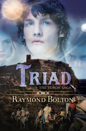 Cover of the book Triad by Sam Stone