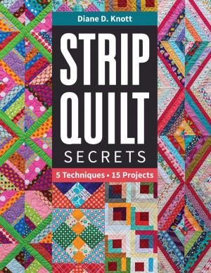 Cover of the book Strip Quilt Secrets by Minki Kim, Kristin Esser