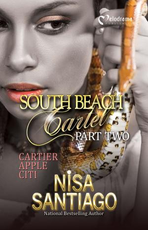 Book cover of South Beach Cartel - Part 2