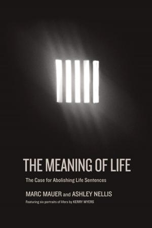 Cover of the book The Meaning of Life by Ben Stewart
