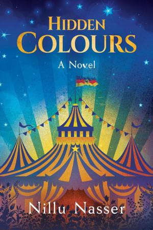 Cover of the book Hidden Colours by E.D. Martin