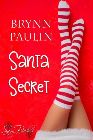 Cover of the book Santa Secret by Brynn Paulin