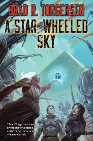 Book cover of A Star-Wheeled Sky