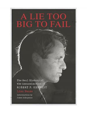 Cover of the book A Lie Too Big to Fail by Mel Gordon
