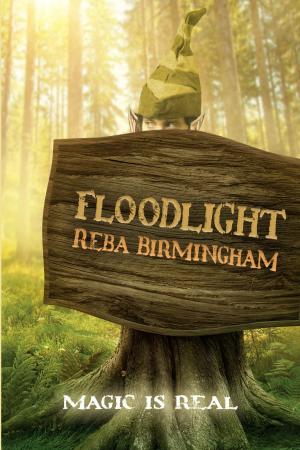Cover of the book Floodlight by AD Starrling