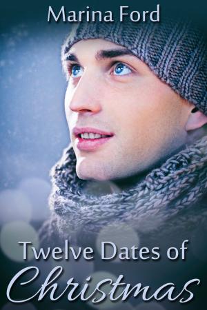 Book cover of Twelve Dates of Christmas