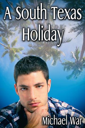 Cover of the book A South Texas Holiday by A.R. Moler