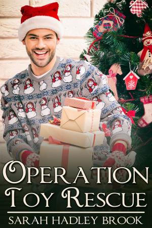 Book cover of Operation Toy Rescue