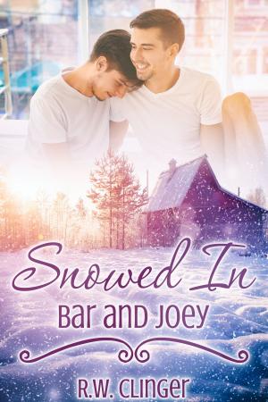 Cover of the book Snowed In: Bar and Joey by Drew Hunt