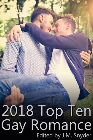 Book cover of 2018 Top Ten Gay Romance