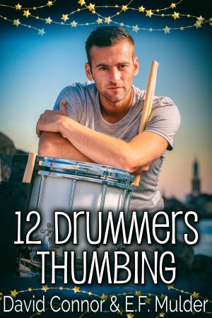 Cover of the book 12 Drummers Thumbing by J.M. Snyder