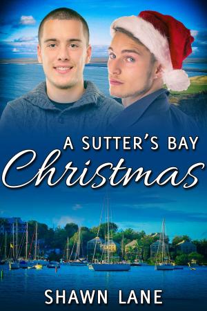 Cover of the book A Sutter's Bay Christmas by Addison Albright