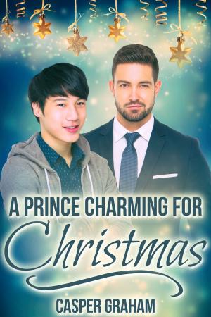 Cover of the book A Prince Charming for Christmas by J.M. Snyder