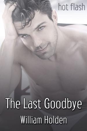 Cover of the book The Last Goodbye by Zack Love