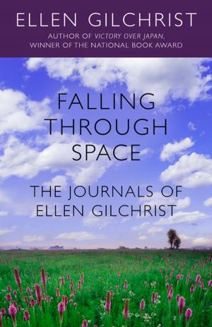 Cover of the book Falling Through Space by Robert Evert