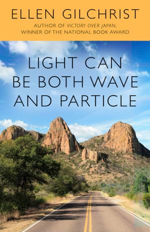 Cover of the book Light Can Be Both Wave and Particle by Candace Robb
