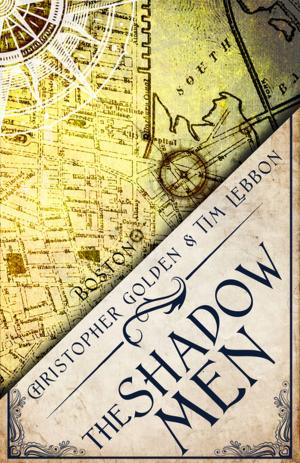 Cover of the book The Shadow Men by S.E. Hinton