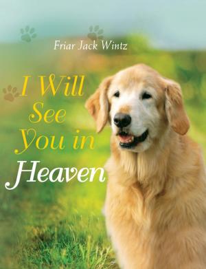 Cover of the book I Will See You in Heaven by Luke Larson