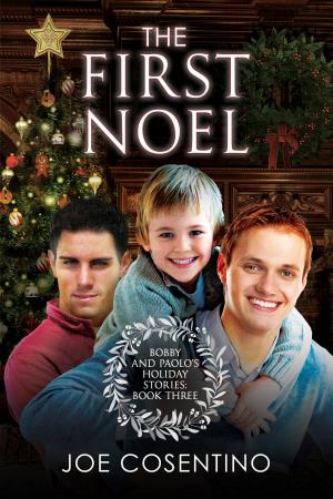 Book cover of The First Noel