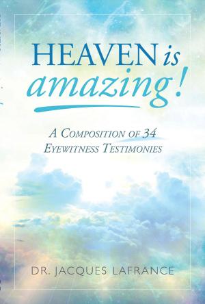 Cover of the book Heaven is Amazing! by Flabia Thembeka