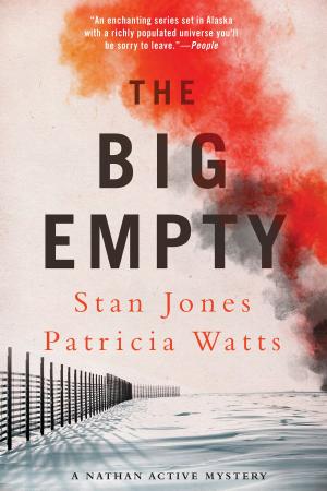 Cover of the book The Big Empty by Janwillem van de Wetering