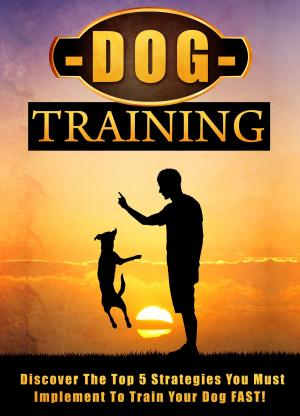 Book cover of Dog Training Discover The Top 5 Strategies You Must Implement To Train Your Dog FAST!