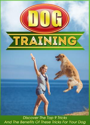 bigCover of the book Dog Training Discover The Top 9 Tricks And The Benefits Of These Tricks For Your Dog by 
