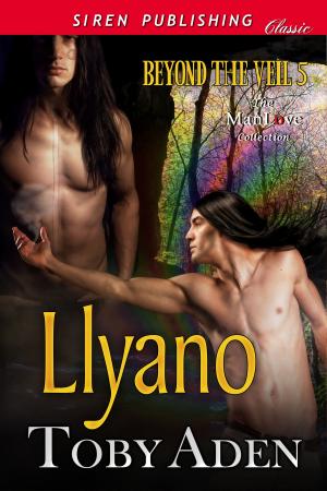 Cover of the book Llyano by Raven Fyre
