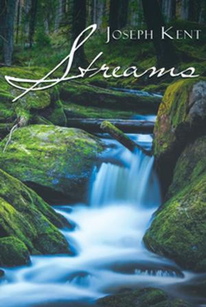 Cover of the book Streams by Shon J. Dominique