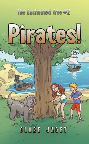 Cover of the book Pirates! by Wendy Elmer