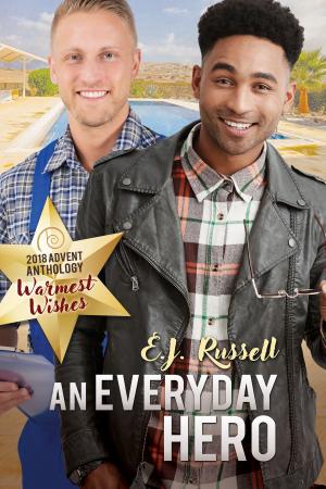 Cover of the book An Everyday Hero by Amberly Smith