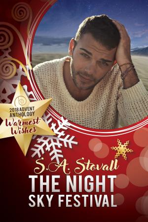 Cover of the book The Night Sky Festival by M.J. O'Shea