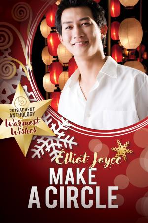 Cover of the book Make a Circle by j. leigh bailey