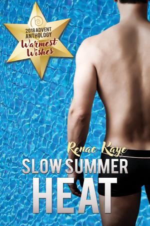 Book cover of Slow Summer Heat