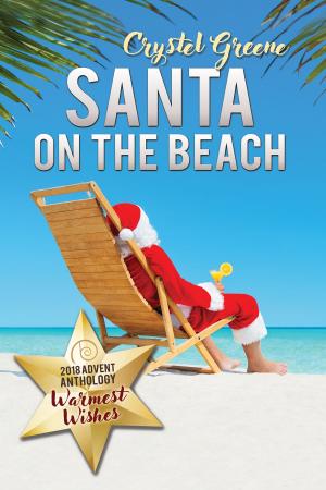 Cover of the book Santa on the Beach by Alex Kidwell, Robin Saxon