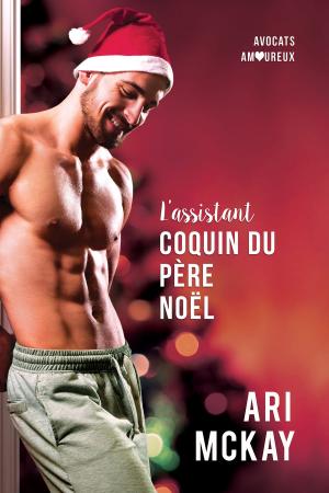 Cover of the book L’assistant coquin du Père Noël by Andrew Grey