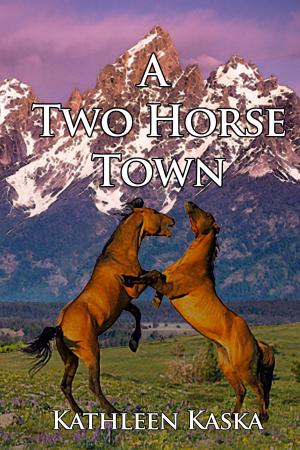 Book cover of A Two Horse Town