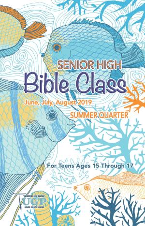 Cover of the book Senior High Bible Class by Sheila K. Alewine