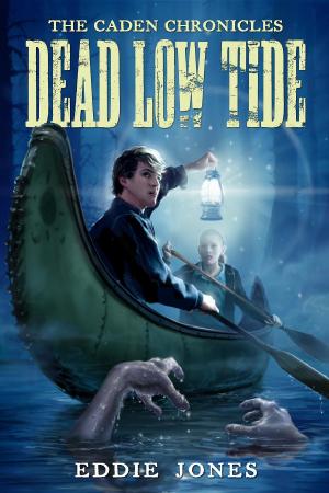 Cover of the book Dead Low Tide by Nancy Parker Brummett
