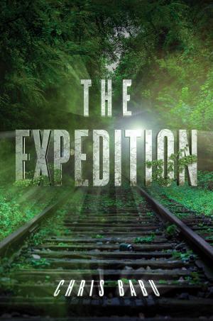 bigCover of the book The Expedition by 