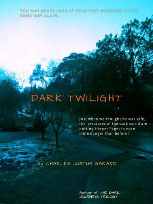 Book cover of Dark Twilight