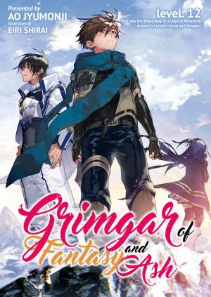 Cover of Grimgar of Fantasy and Ash: Volume 12