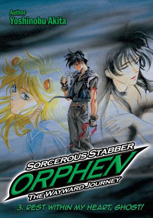 Cover of the book Sorcerous Stabber Orphen: The Wayward Journey Volume 3 by Yoshinobu Akita